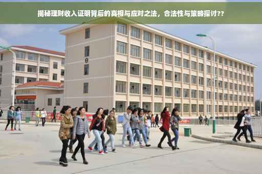 揭秘理财收入证明背后的真相与应对之法，合法性与策略探讨??