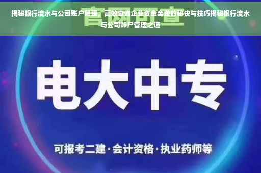 揭秘银行流水与公司账户管理，高效查询企业资金全貌的秘诀与技巧揭秘银行流水与公司账户管理之道