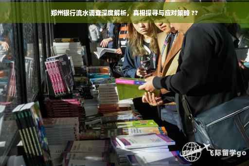 郑州银行流水调查深度解析，真相探寻与应对策略 ??