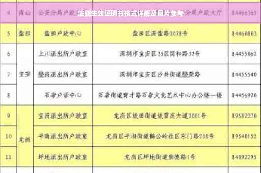 法院生效证明书格式详解及图片参考