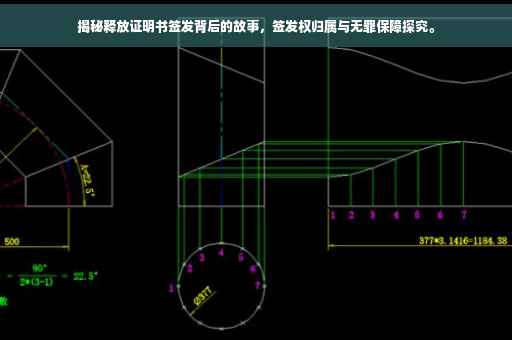 揭秘释放证明书签发背后的故事，签发权归属与无罪保障探究。