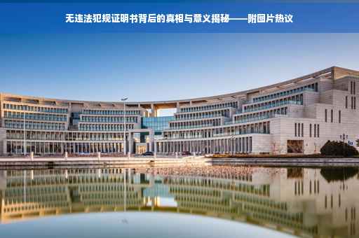 无违法犯规证明书背后的真相与意义揭秘——附图片热议