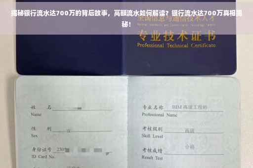 揭秘银行流水达700万的背后故事，高额流水如何解读？银行流水达700万真相揭秘！