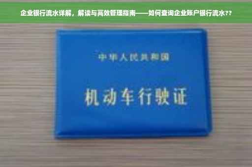 企业银行流水详解，解读与高效管理指南——如何查询企业账户银行流水??