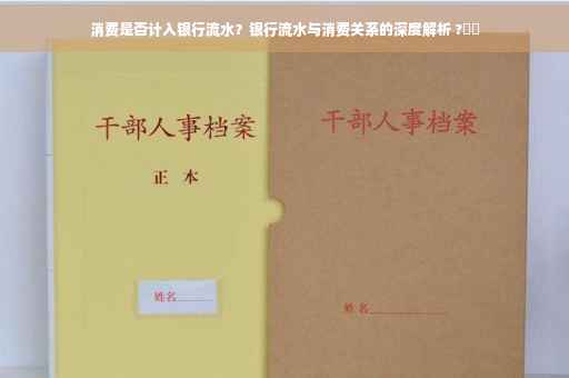 消费是否计入银行流水？银行流水与消费关系的深度解析 ?⚡️