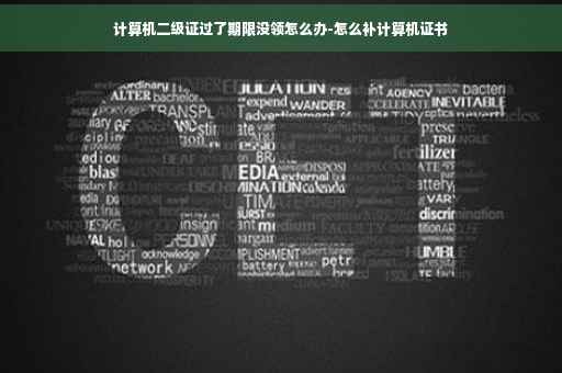计算机二级证过了期限没领怎么办-怎么补计算机证书