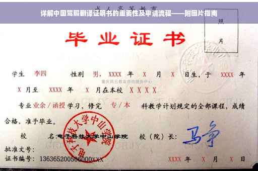 详解中国驾照翻译证明书的重要性及申请流程——附图片指南