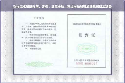 银行流水获取指南，步骤、注意事项、常见问题解答及账单获取全攻略