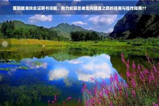 医院精准扶贫证明书详解，助力贫困患者走向健康之路的指南与操作指南??
