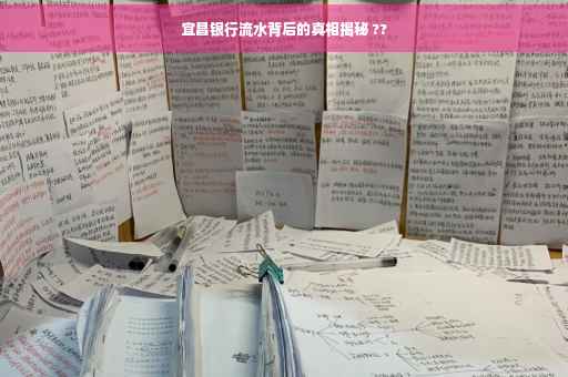 宜昌银行流水背后的真相揭秘 ??