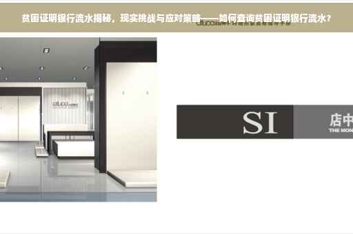 贫困证明银行流水揭秘，现实挑战与应对策略——如何查询贫困证明银行流水？