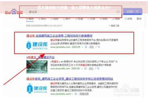 五大策略助力逆袭，收入证明收入低怎么办？