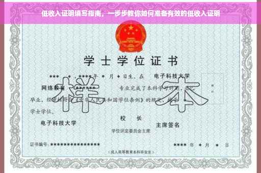 低收入证明填写指南，一步步教你如何准备有效的低收入证明