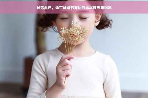 兄弟离世，死亡证明书背后的无尽哀思与纪念