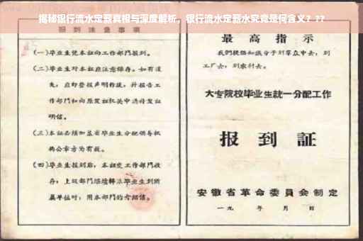 揭秘银行流水定薪真相与深度解析，银行流水定薪水究竟是何含义？??