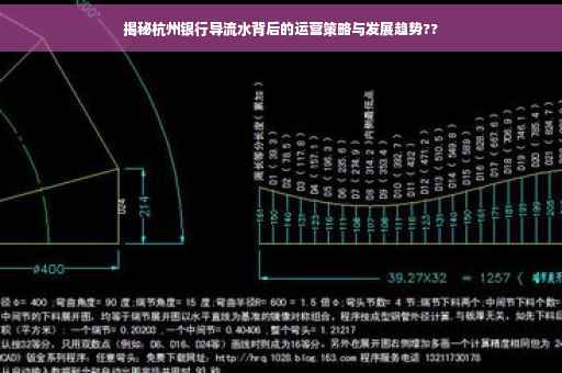 揭秘杭州银行导流水背后的运营策略与发展趋势??
