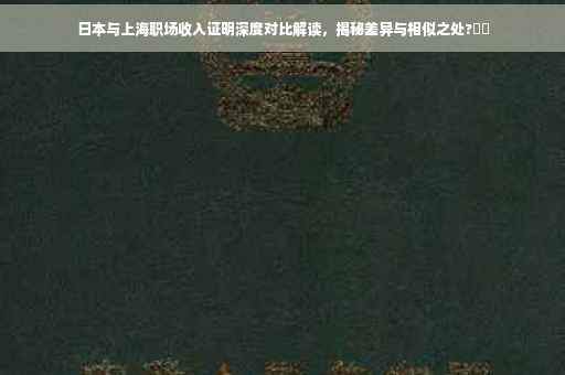 日本与上海职场收入证明深度对比解读，揭秘差异与相似之处?⚡️