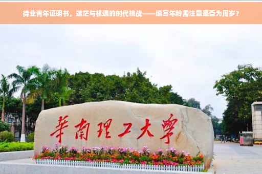待业青年证明书，迷茫与机遇的时代挑战——填写年龄需注意是否为周岁？