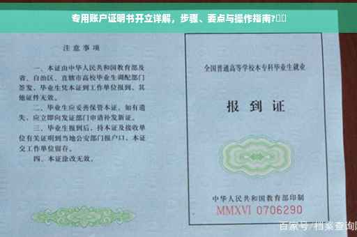 专用账户证明书开立详解，步骤、要点与操作指南?⚡️