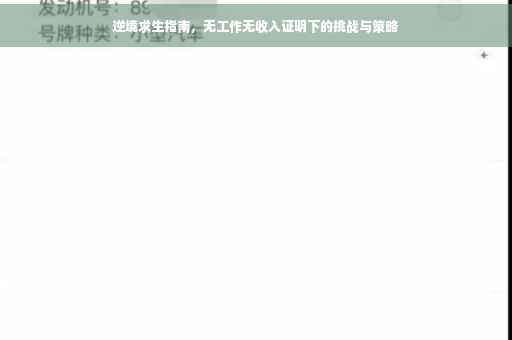 逆境求生指南，无工作无收入证明下的挑战与策略