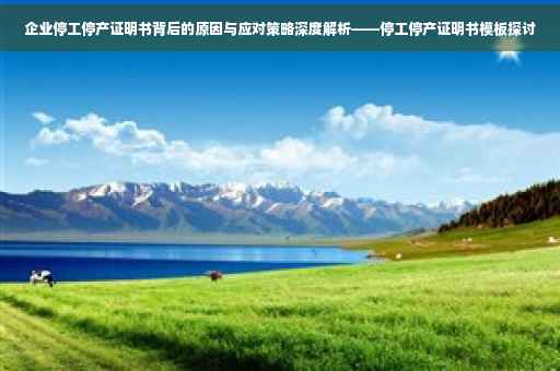 企业停工停产证明书背后的原因与应对策略深度解析——停工停产证明书模板探讨