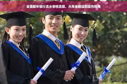 全面解析银行流水审核流程，从账单解读到操作指南