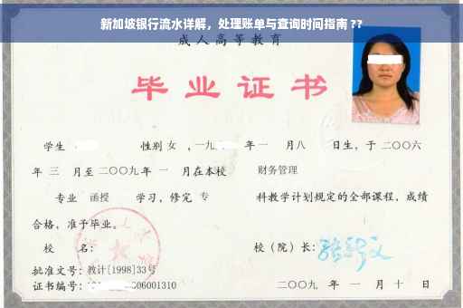 新加坡银行流水详解，处理账单与查询时间指南 ??