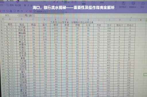 海口，银行流水揭秘——重要性及操作指南全解析