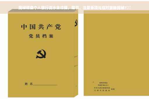 揭秘稽查个人银行流水全过程，细节、注意事项与应对策略揭秘?⚡️