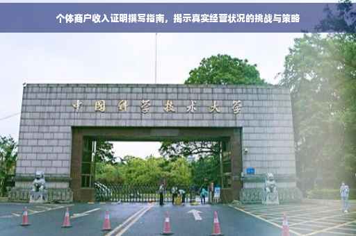 个体商户收入证明撰写指南，揭示真实经营状况的挑战与策略