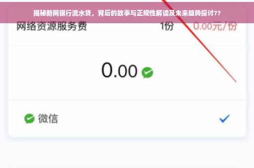 揭秘新网银行流水贷，背后的故事与正规性解读及未来趋势探讨??