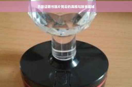 开除证明书图片背后的真相与故事揭秘