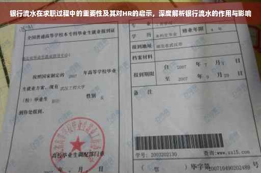 银行流水在求职过程中的重要性及其对HR的启示，深度解析银行流水的作用与影响