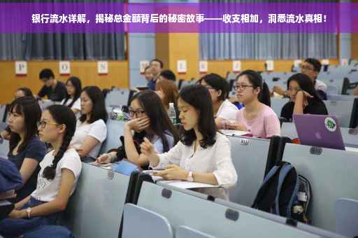 银行流水详解，揭秘总金额背后的秘密故事——收支相加，洞悉流水真相！