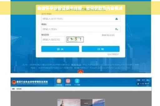 曲靖怀孕诊断证明书详解，如何获取及内容概述