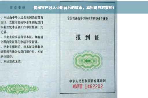 揭秘客户收入证明背后的故事，真相与应对策略?