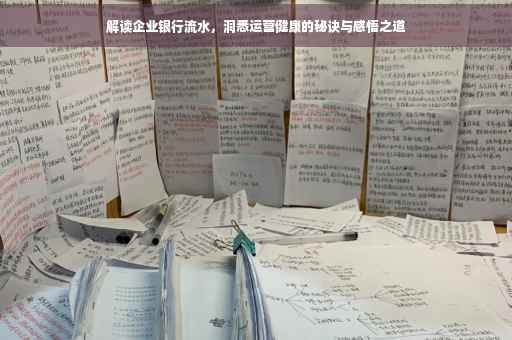 解读企业银行流水，洞悉运营健康的秘诀与感悟之道