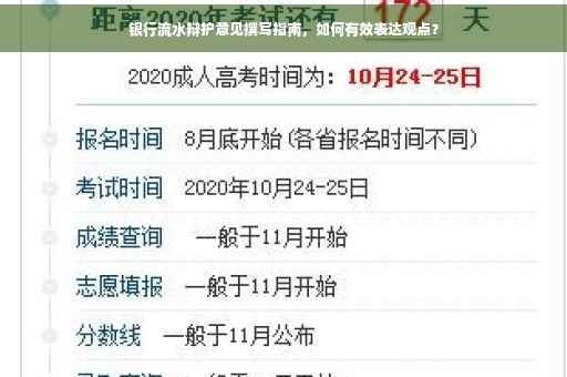 银行流水辩护意见撰写指南，如何有效表达观点？