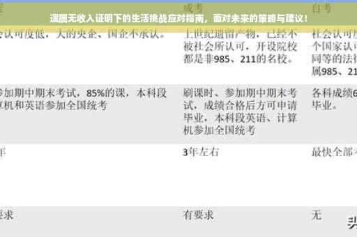 遗属无收入证明下的生活挑战应对指南，面对未来的策略与建议！