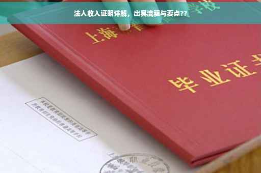 法人收入证明详解，出具流程与要点??