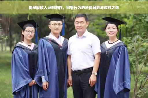 揭秘假收入证明制作，犯罪行为的法律风险与应对之道