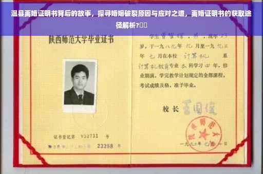 温县离婚证明书背后的故事，探寻婚姻破裂原因与应对之道，离婚证明书的获取途径解析?⚡️