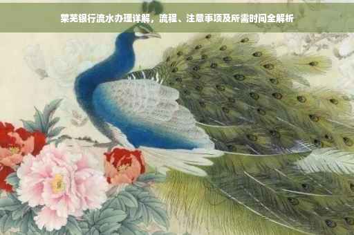 莱芜银行流水办理详解，流程、注意事项及所需时间全解析