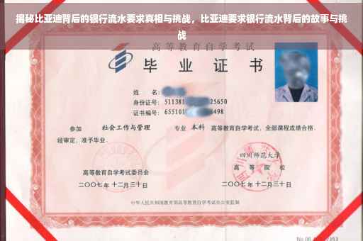 揭秘比亚迪背后的银行流水要求真相与挑战，比亚迪要求银行流水背后的故事与挑战