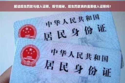 解读超生罚款与收入证明，细节揭秘，超生罚款真的需要收入证明吗？
