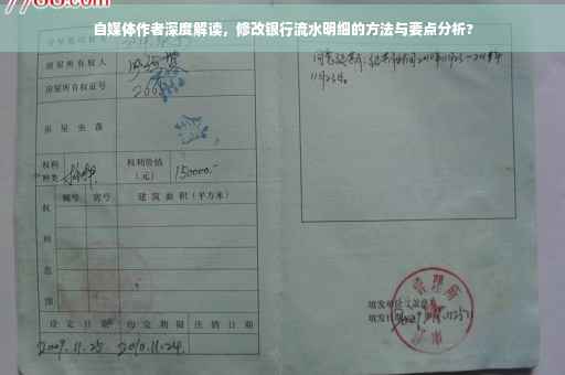 自媒体作者深度解读，修改银行流水明细的方法与要点分析?