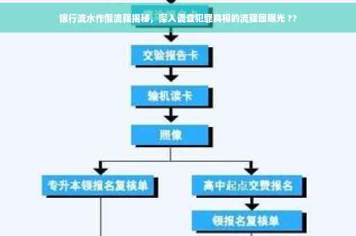 银行流水作假流程揭秘，深入调查犯罪真相的流程图曝光 ??