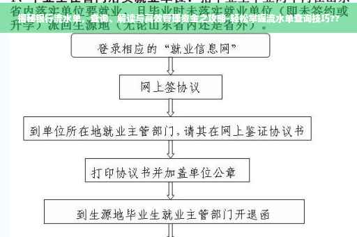 揭秘银行流水单，查询、解读与高效管理资金之攻略-轻松掌握流水单查询技巧??