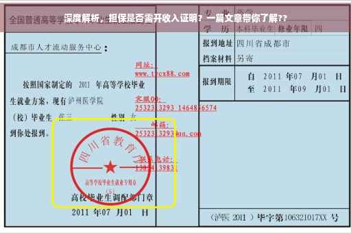 深度解析，担保是否需开收入证明？一篇文章带你了解??