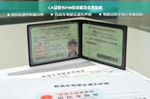CA证明书PIN码详解及应用指南